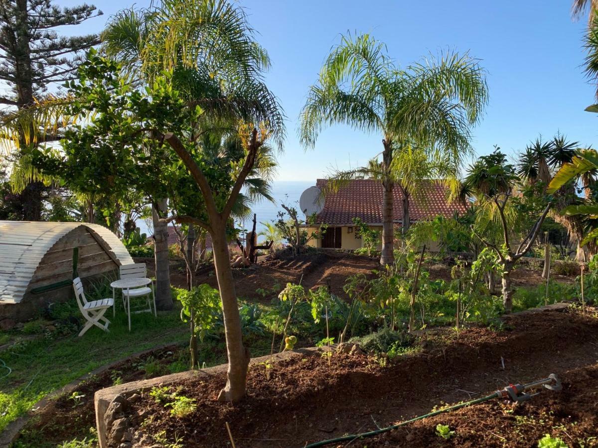 Ferienwohnung Finca Monica La Matanza De Acentejo 外观 照片