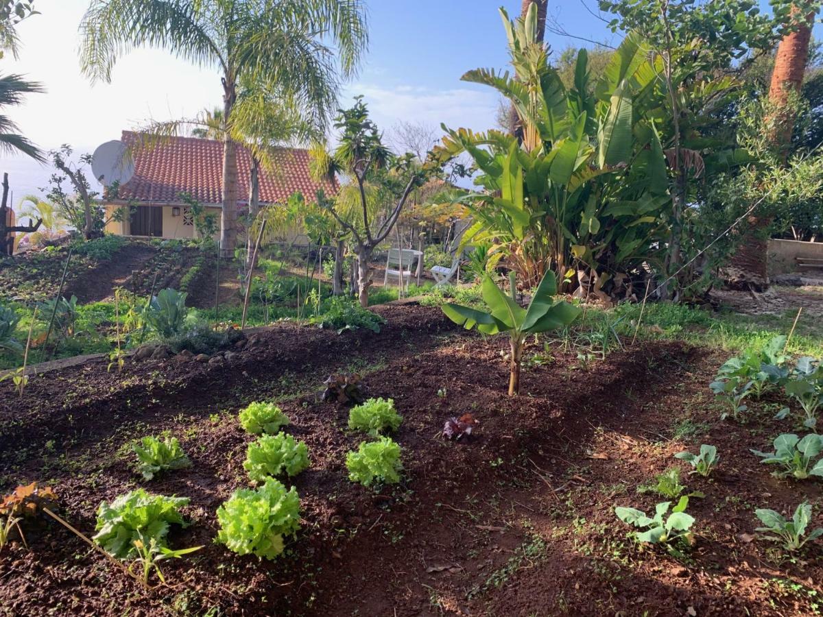 Ferienwohnung Finca Monica La Matanza De Acentejo 外观 照片